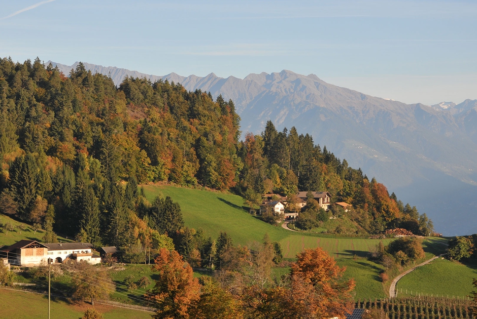 Giro DItalia 2023 Le Foreste Che Val La Pena Seguire Nella Terza E Ultima Settimana LifeGate