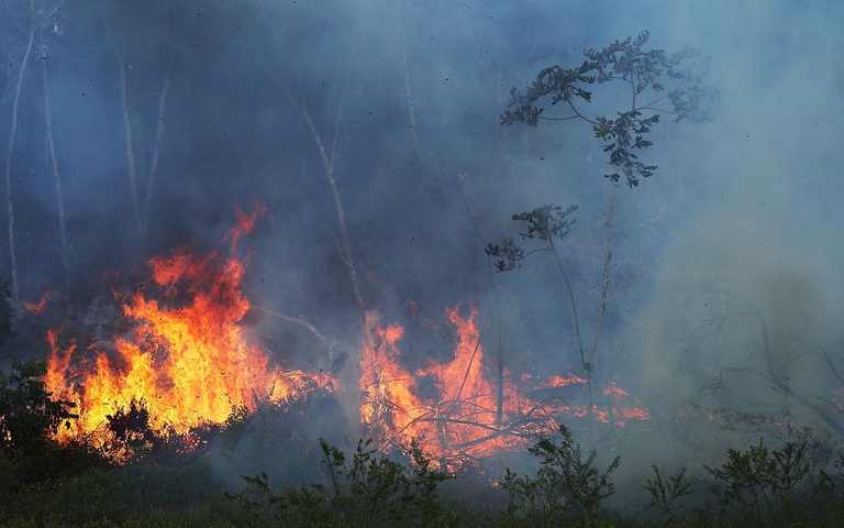 Incendio appiccato in Amazzonia per disboscare