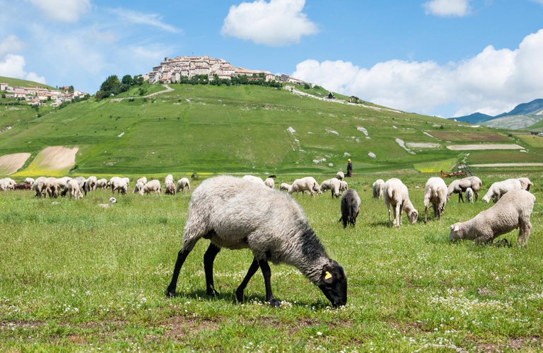monti sibillini marche