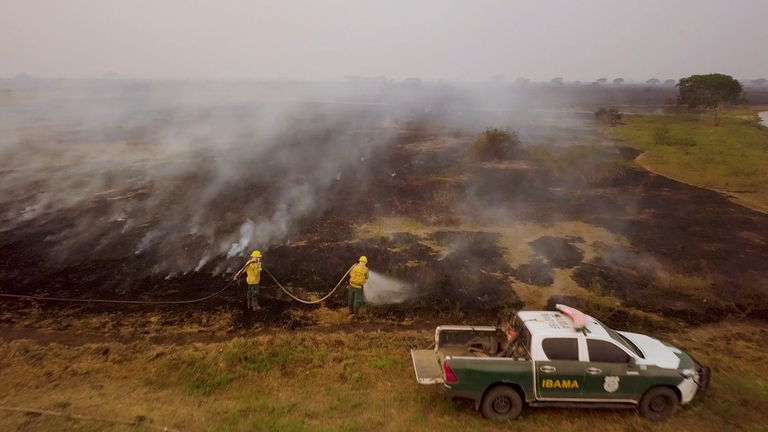 La deforestazione in Amazzonia è legata all'industria della carne