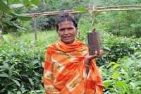India, how indigenous farmers are developing climate resilient agriculture
