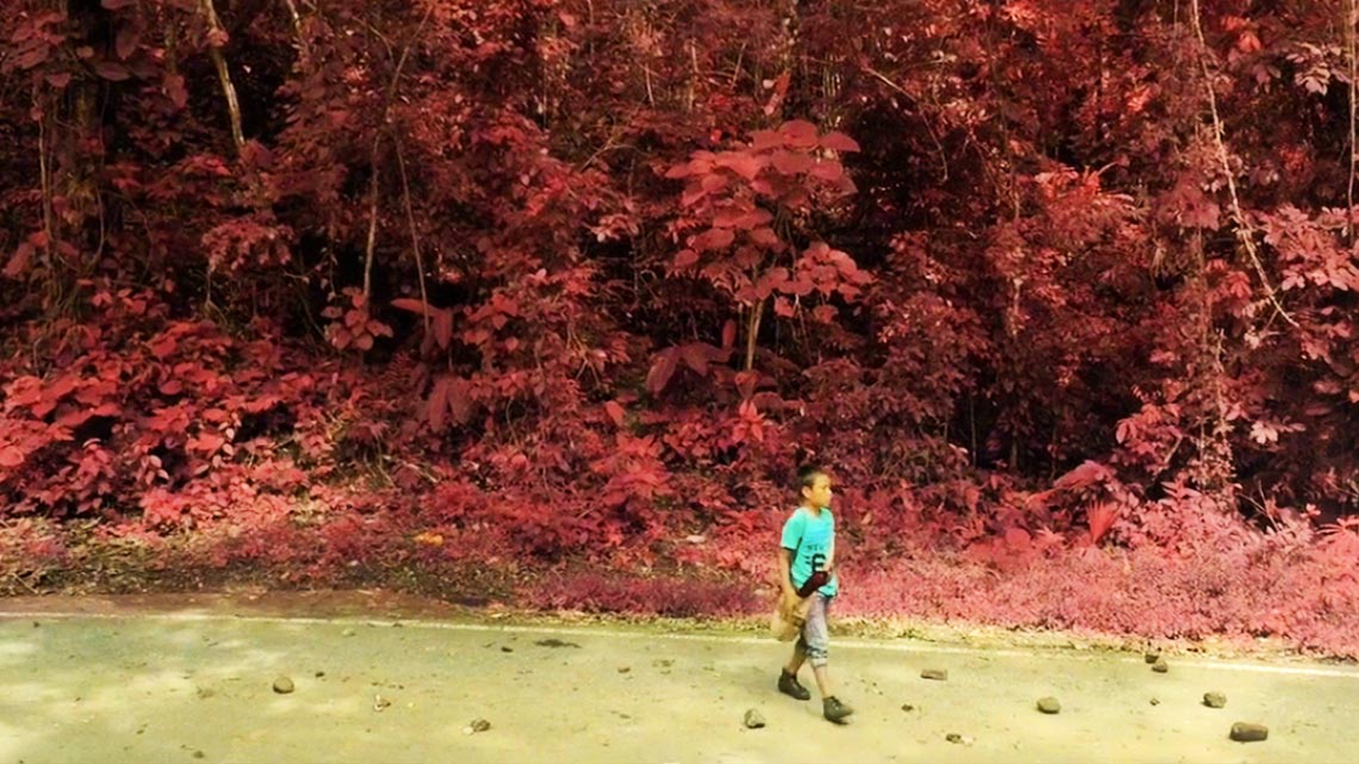 tierra-mojada-screenshot-foresta-rossa