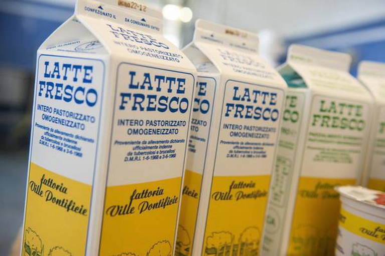 latte fattoria del papa