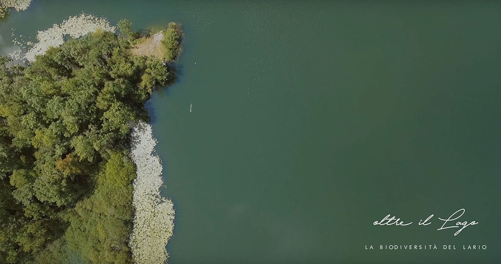 Oltre il lago – La biodiversità del Lario