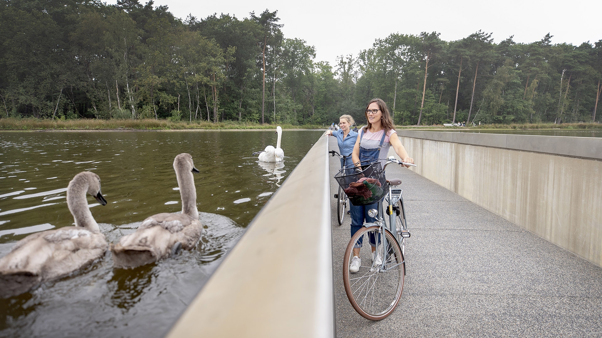 Fietsvakanties_Vlaanderen_Limburg_Genk_Fietsen_door_het_water-6_David_Samyn copia