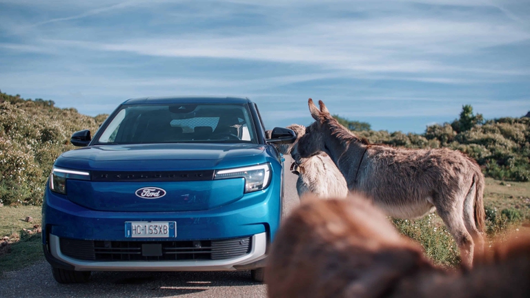 Longevità, Ford, Ogliastra, Sardegna