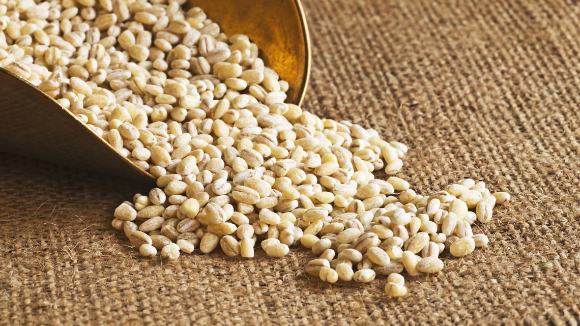 Orzo: proprietà, tipi e ricette - LifeGate