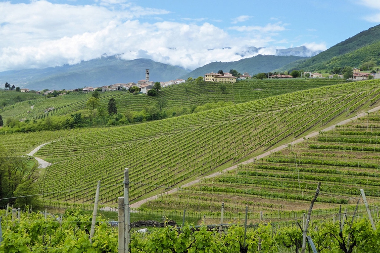 La coltivazione tradizionale della vite può accelerare i tassi di erosione, spingendoli fino ad 1-2 ordini di grandezza superiori a quelli naturali di formazione del suolo. Alce Nero, agroecologia