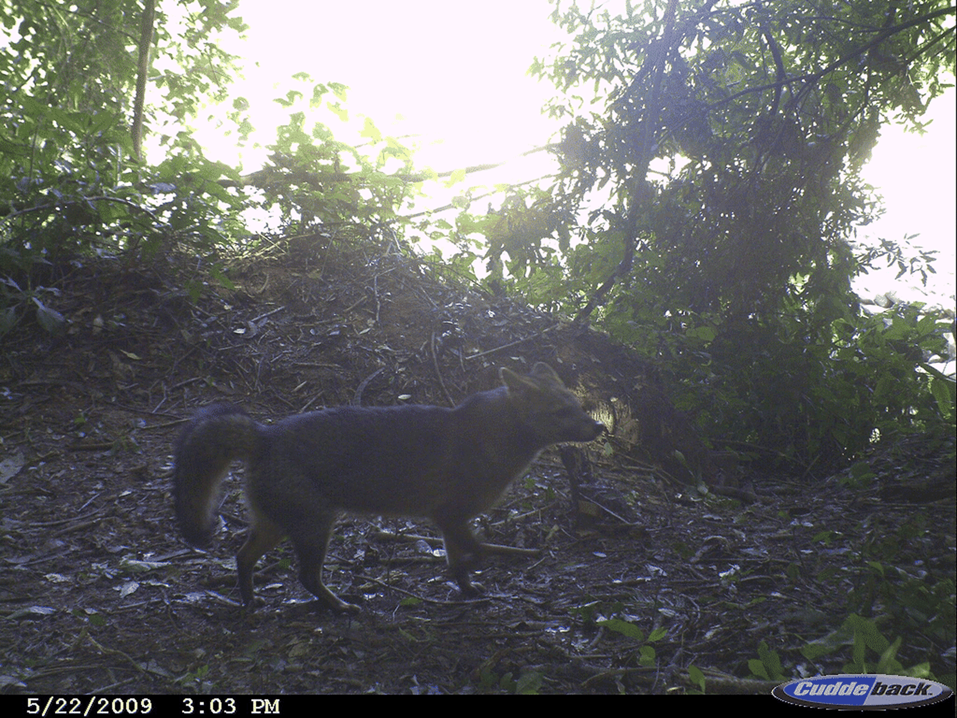Riserva El Pantanoso in Argentina