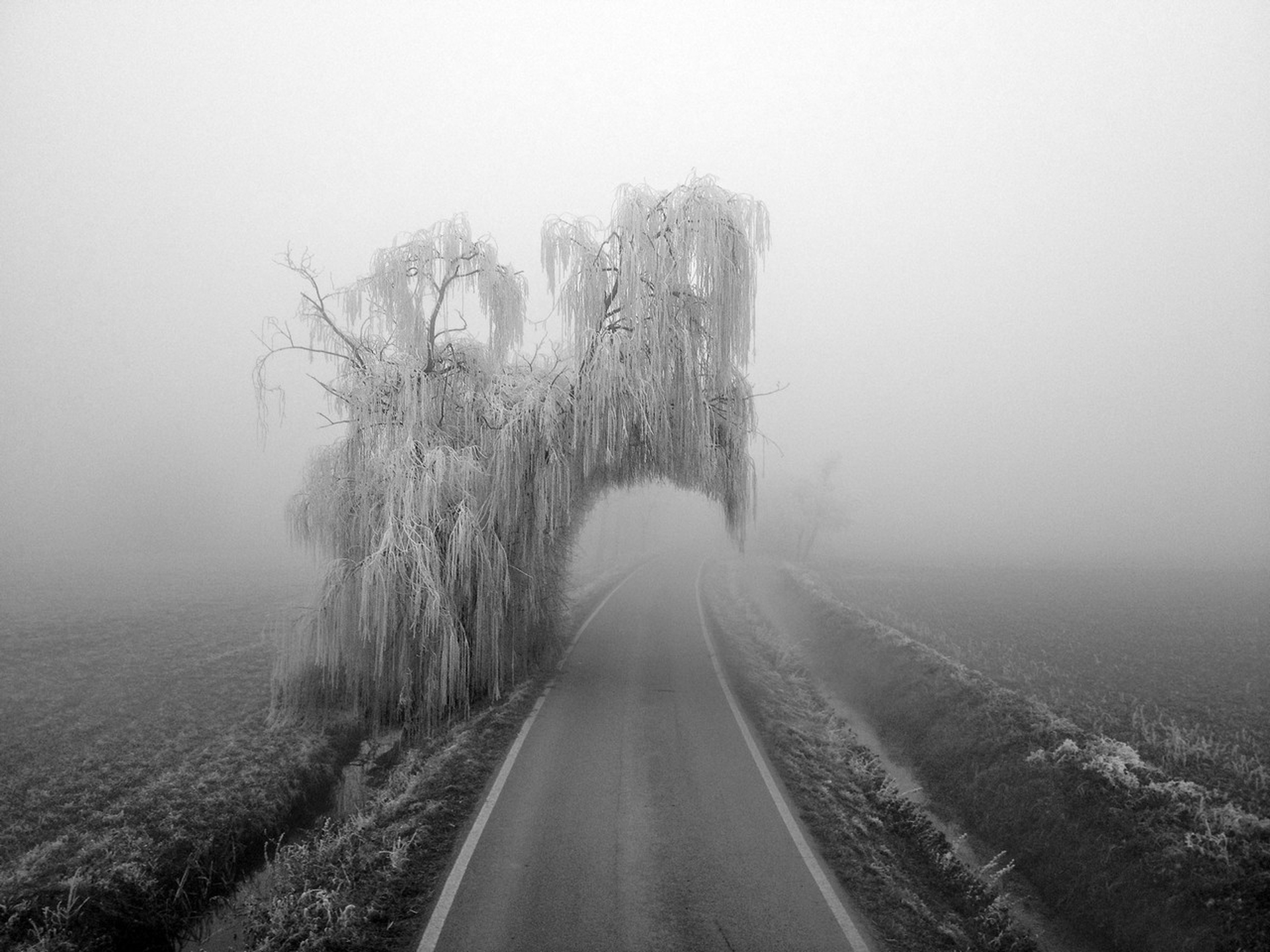 Andrea Micheli, Pierluigi Cerri