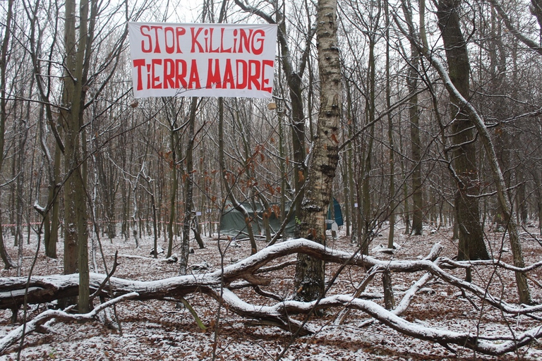 Striscione che invoca la tutela della foresta di Hambach