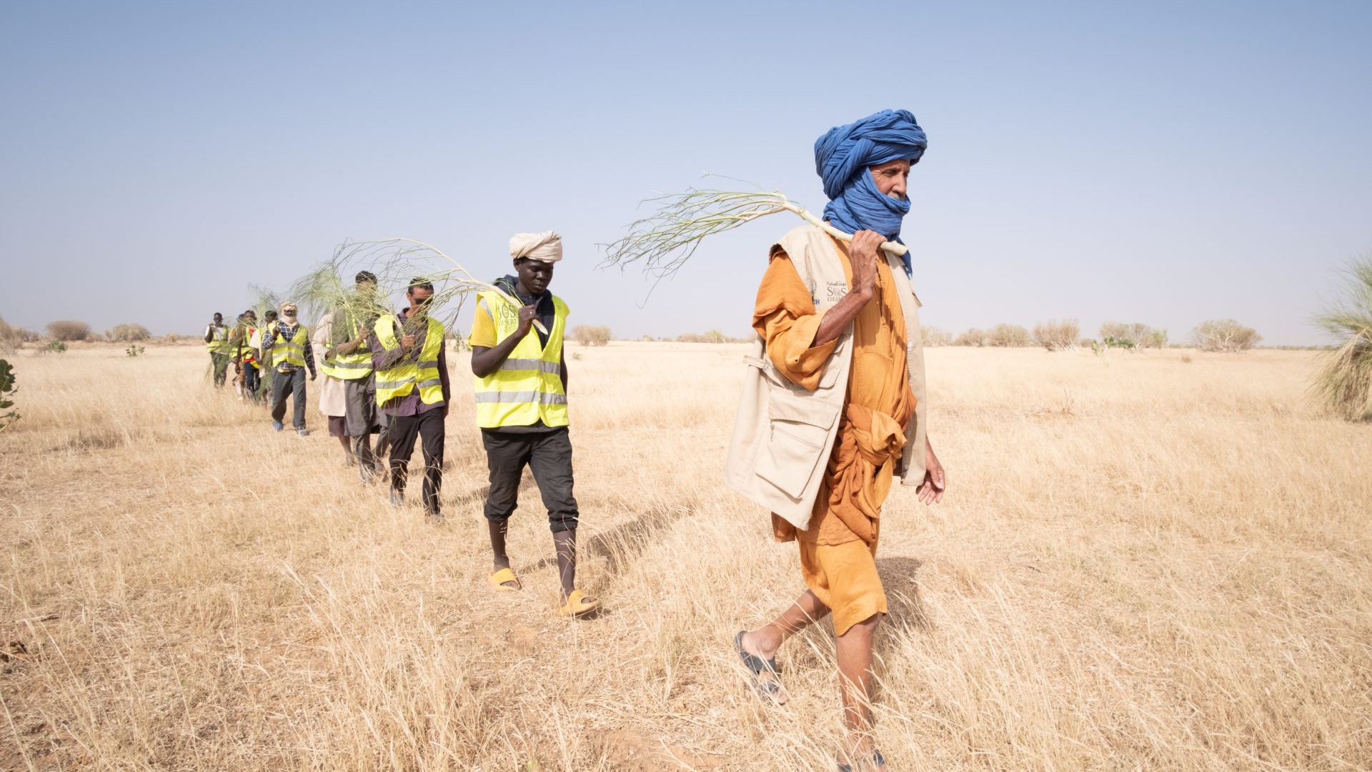 LongForm Sen Mau LifeGate-22