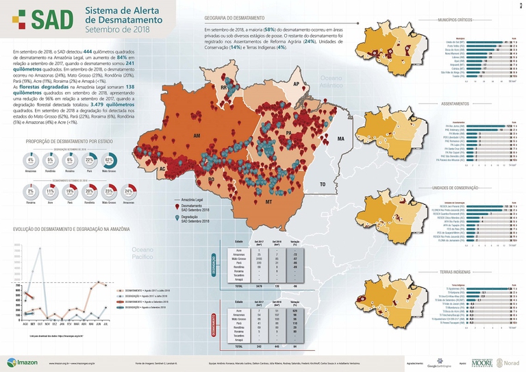 Grafico sulla deforestazione nell'Amazzonia brasiliana