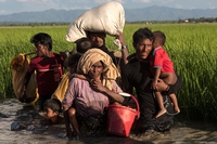 Emanuele Giordana e i rohingya. Puoi capire Suu Kyi, ma ingiustificabile