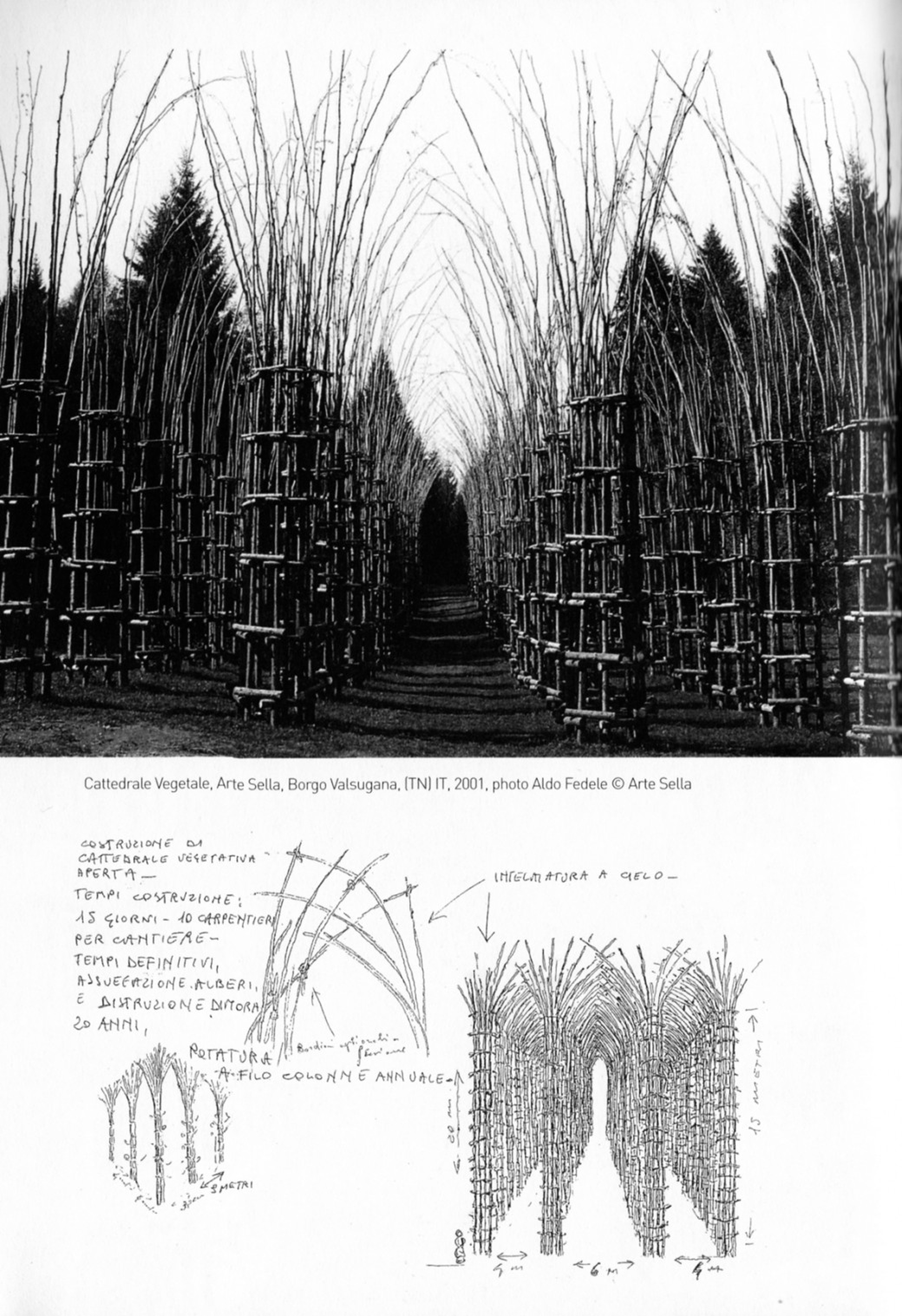 Cos'è la Cattedrale vegetale di Giuliano Mauri a Lodi, e quando si può visitare