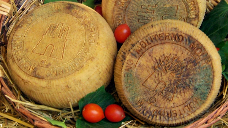 Il Canestrato di Castel del Monte è il pecorino della transumanza, così chiamato perché in passato i pastori portavano le loro greggi, nei mesi più freddi dell'anno, verso i più miti pascoli del Tavoliere delle Puglie, per poi ritornare in quelli montani abruzzesi in primavera-estate. Attualmente il Canestrato è prodotto sul territorio del versante aquilano del Gran Sasso, zona tradizionalmente vocata all'allevamento ovino. Gli ovini, da dicembre a marzo, dispongono di ampi spazi all'interno di stalle o recinti esterni, mentre con l'arrivo della bella stagione, vengono condotti ai pascoli di alta quota, nella piana di Campo Imperatore.