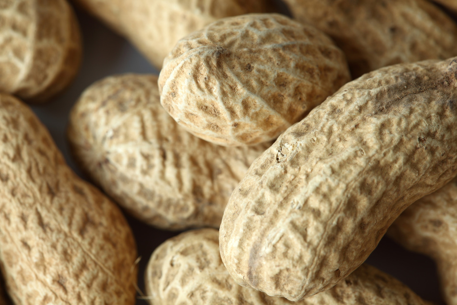 black listi coldiretti ©Ingimage