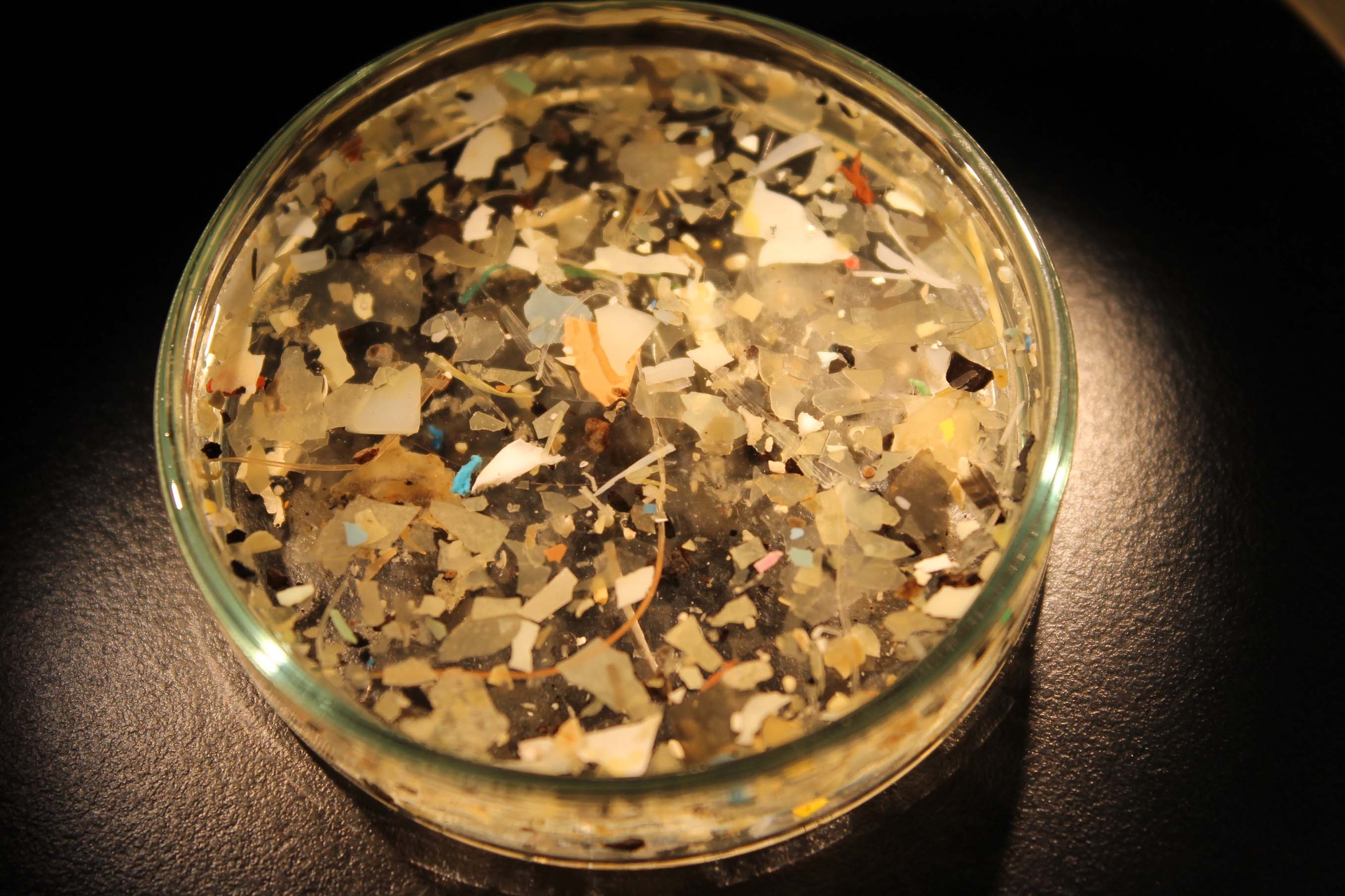 Il Mediterraneo invaso dalla plastica