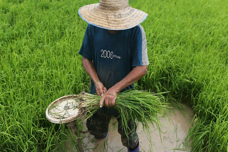 GettyImages-450379708