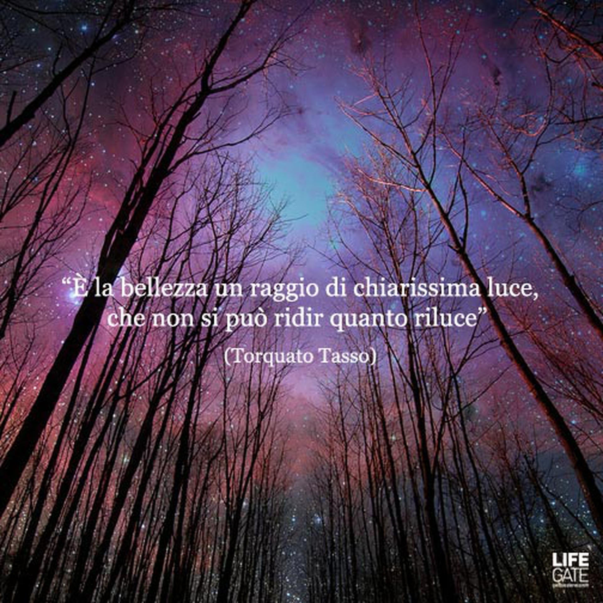 Le citazioni più belle per sempre - Torquato Tasso