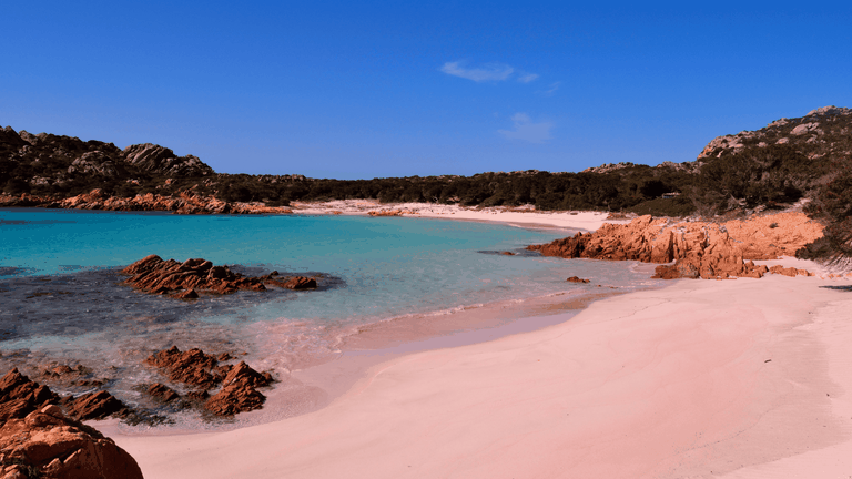 spiaggia rosa budelli