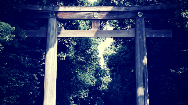 parks and gardens torii gate meiji shrine tokyo