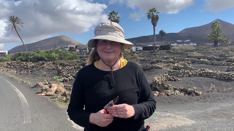 Lanzarote agricoltura arido