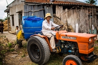 Glifosato, il Vietnam vieta tutti i prodotti che lo contengono