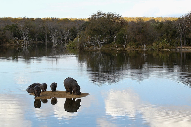 hippo culling zambia cancelled