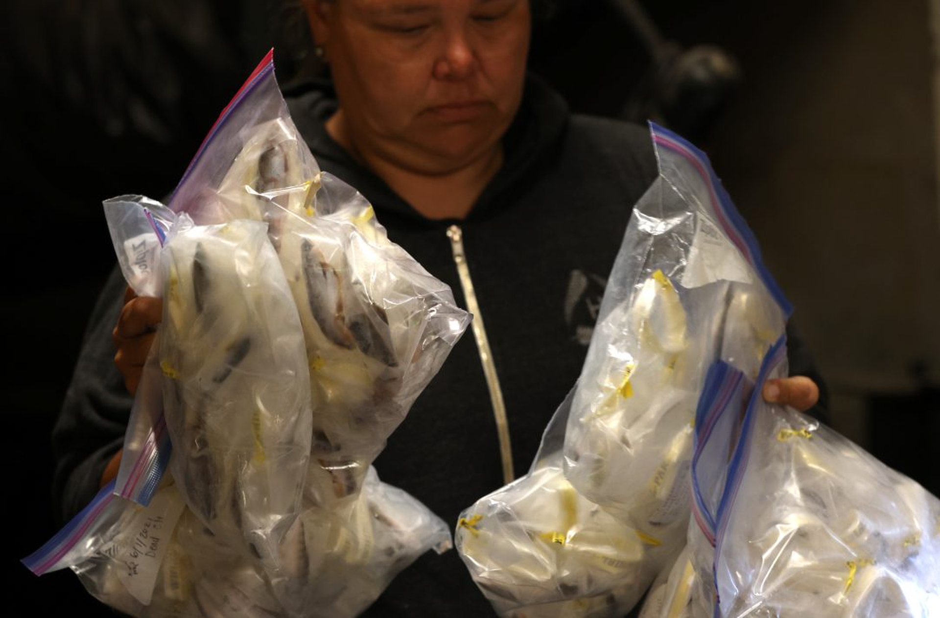 Yurok Tribe Members Monitor Ongoing Drought-Caused Fishkill In The Klamath River