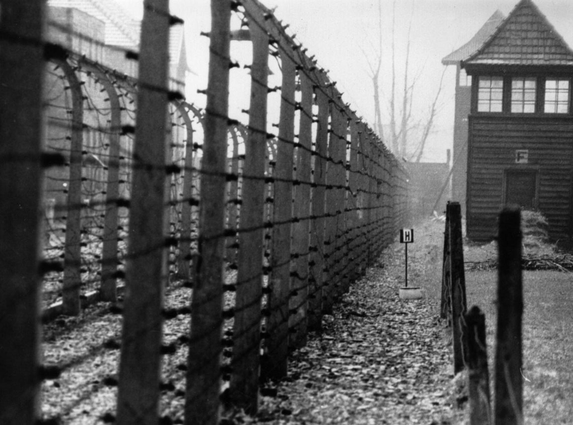 1940-Auschwitz