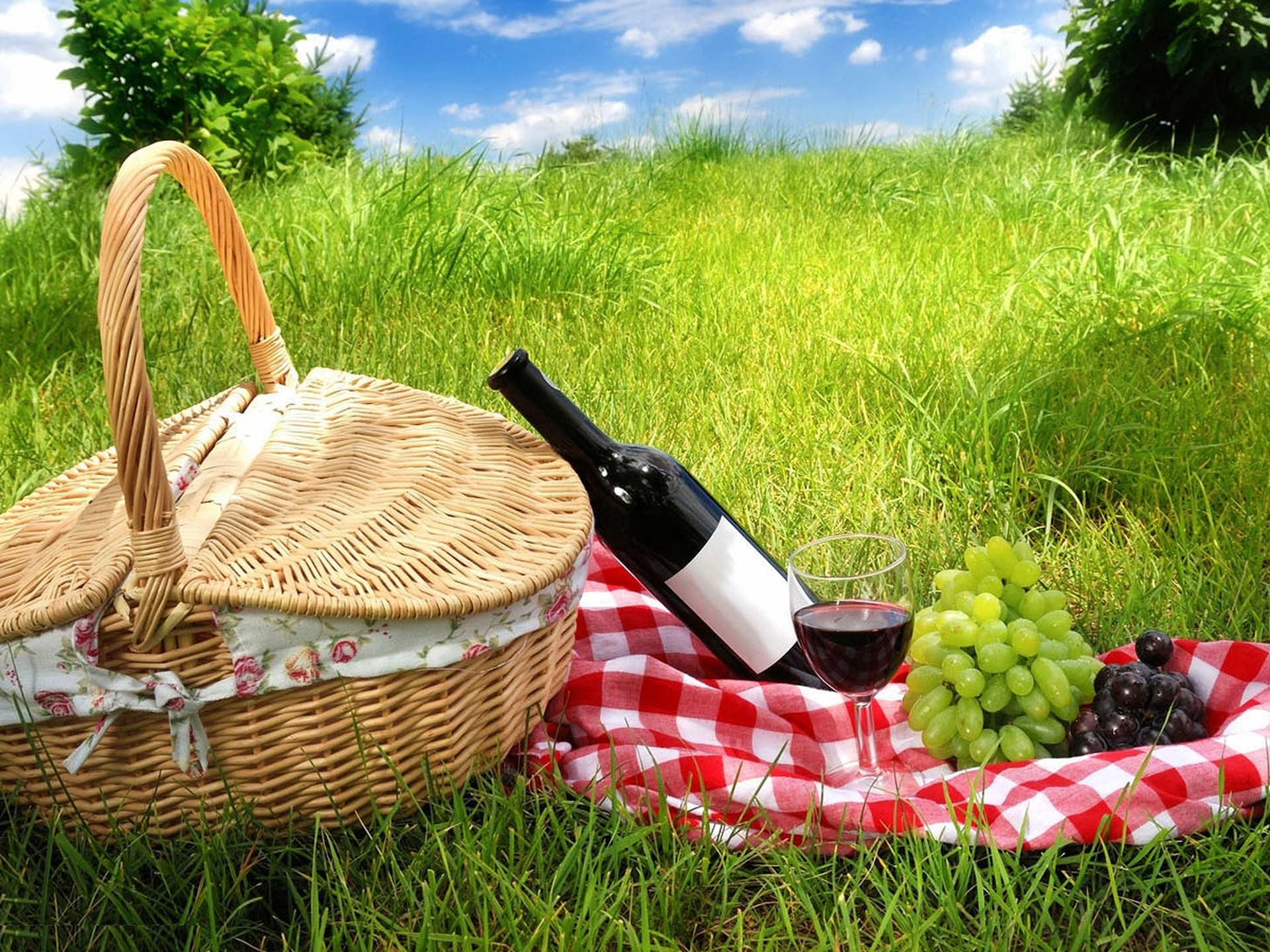 Il picnic ecologico: idee, materiali e ingredienti a basse emissioni di CO2