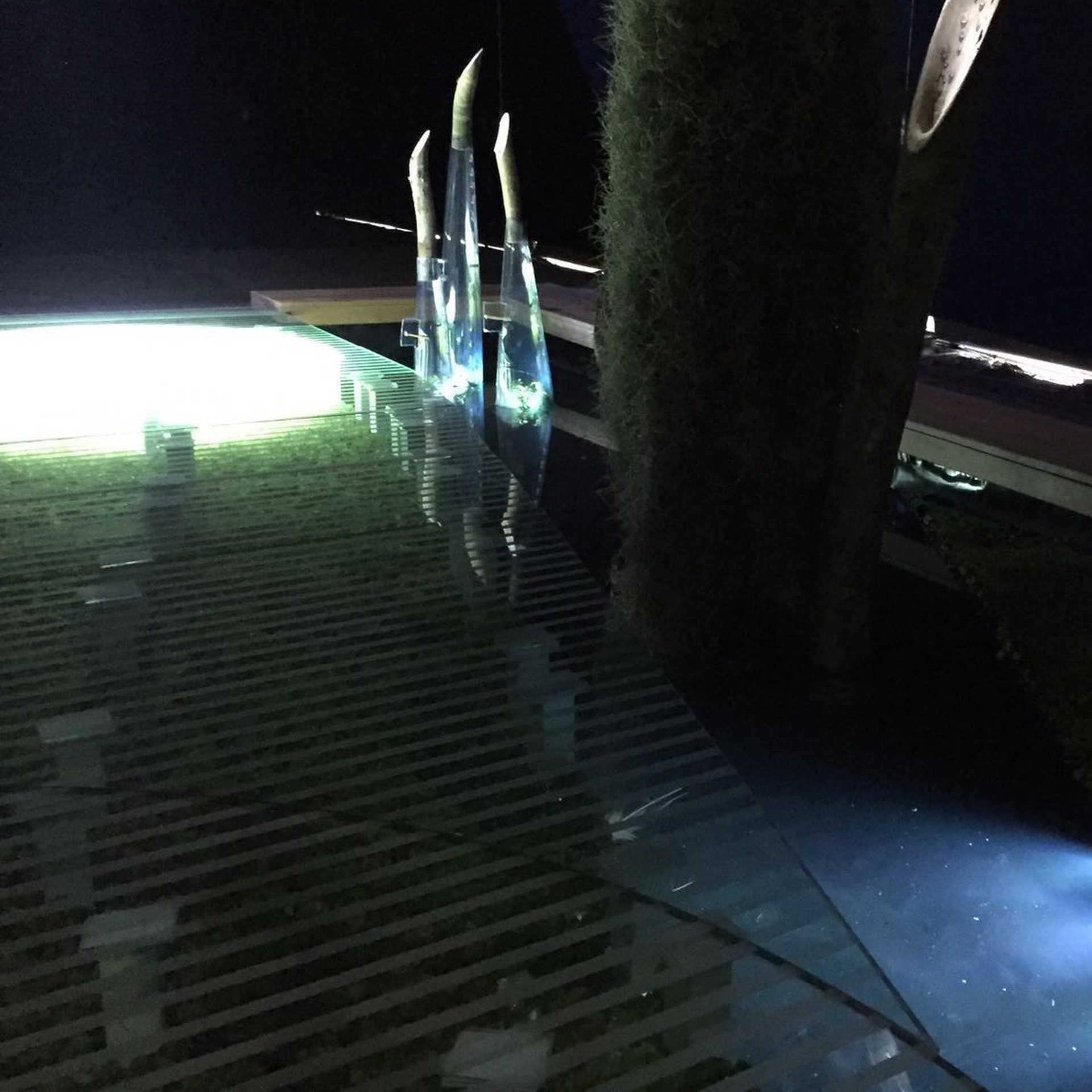 La passerella di Nature's Resolution