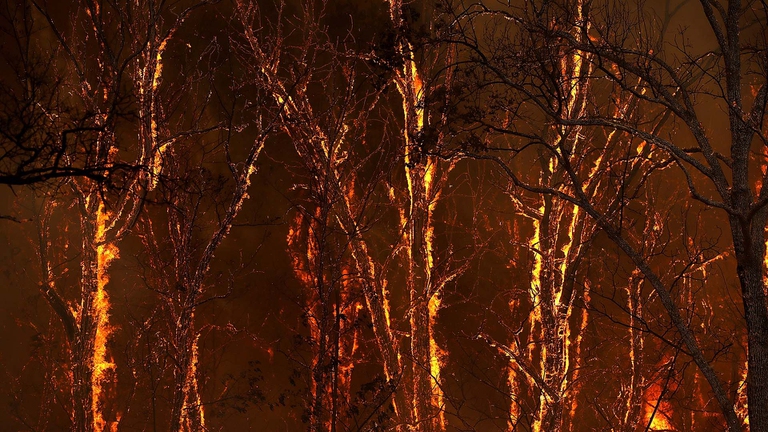 wildfires, california