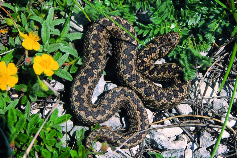 parco nazionale del gran sasso