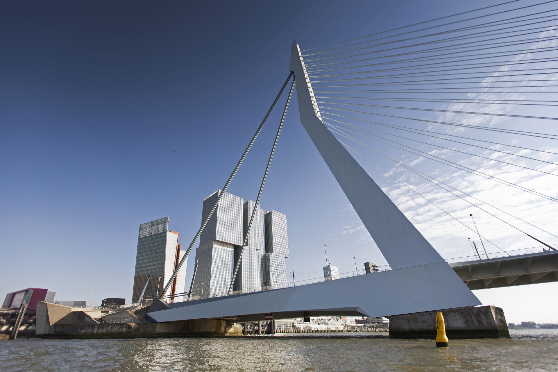 Erasmusbrug, il ponte Erasmo
