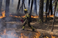L’esposizione della popolazione mondiale agli incendi è cresciuta del 40 per cento in 20 anni