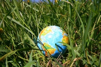 Quali sono le caratteristiche di un prodotto ecologico