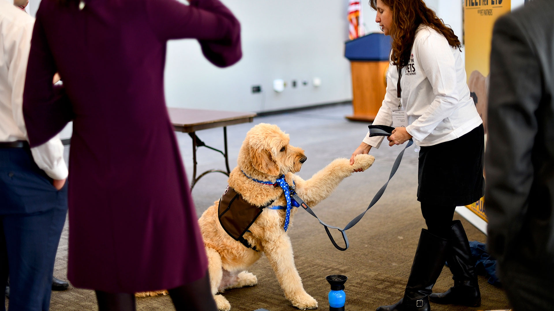 pet-therapy-and-your-child-kars4kids-parenting