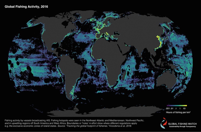 Pesca industriale: una mappa ne mostra l'impatto globale