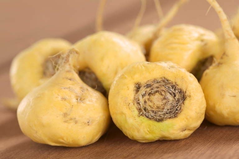Fresh maca roots or Peruvian ginseng (lat. Lepidium meyenii) which are popular in Peru for their various health effects (Selective Focus, Focus on the maca roots in the front)