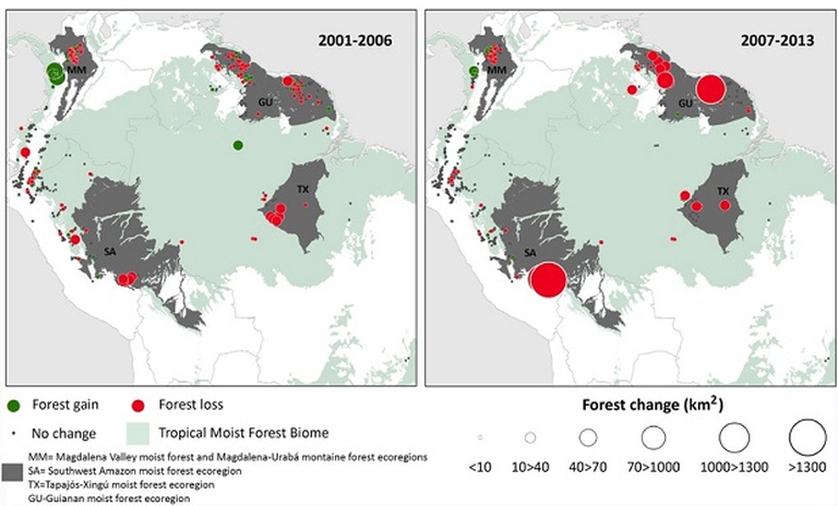 deforestazione a causa di estrazione mineraria