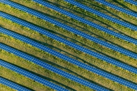 Un nuovo impianto su due a energie rinnovabili. Il 2015 è un anno solare