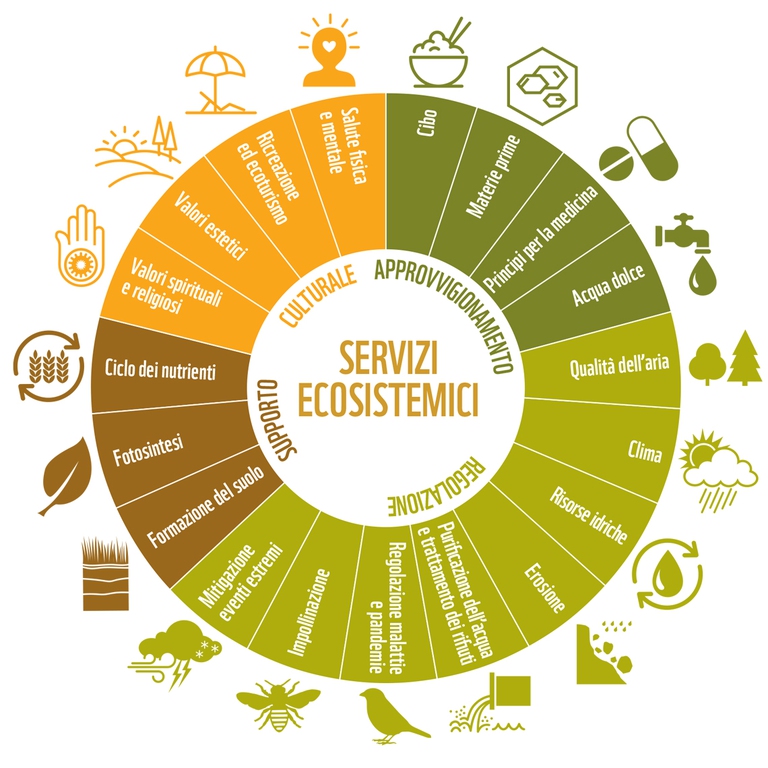 Servizi degli ecosistemi Wwf