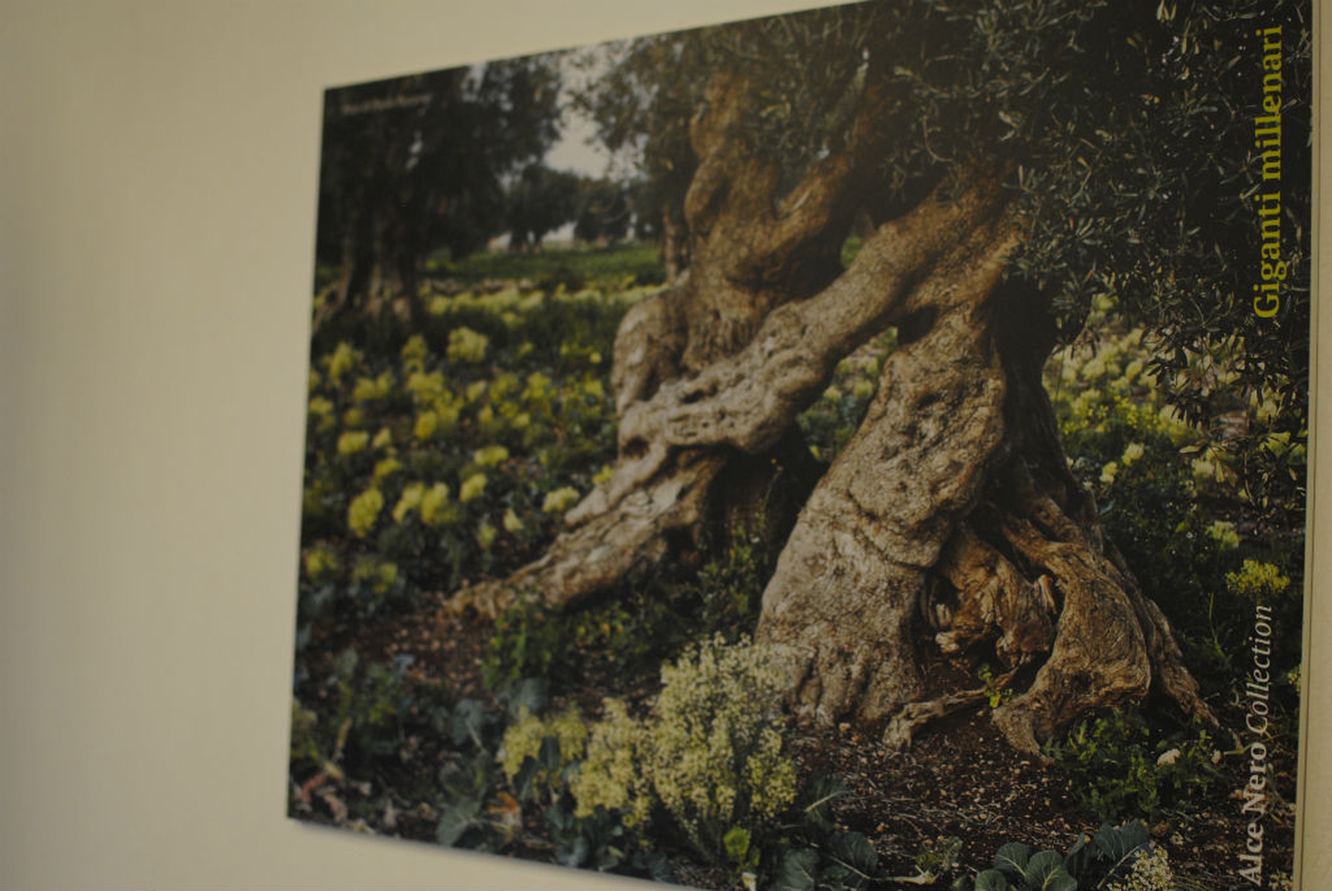 Da Alce Nero e LifeGate nasce Equilibrio in movimento