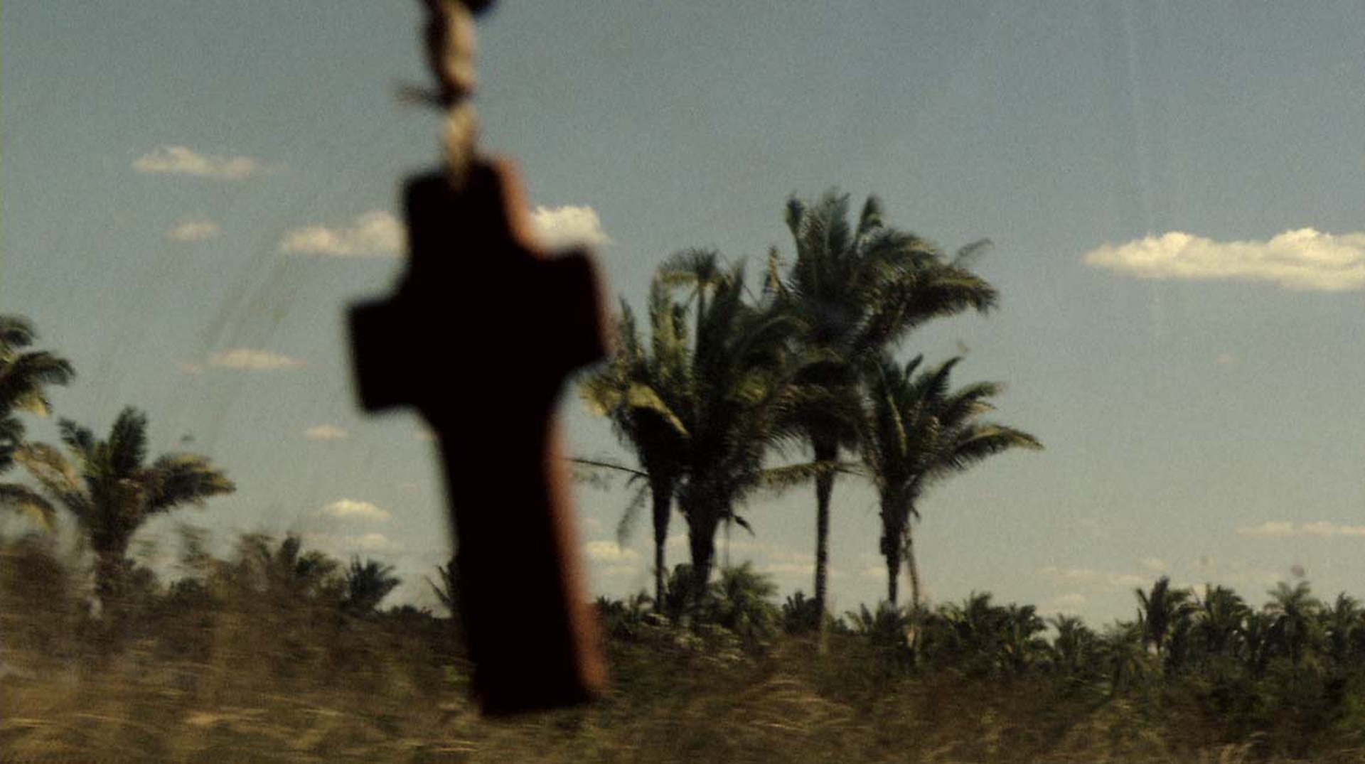 Vincent Moon Hibridos_croce