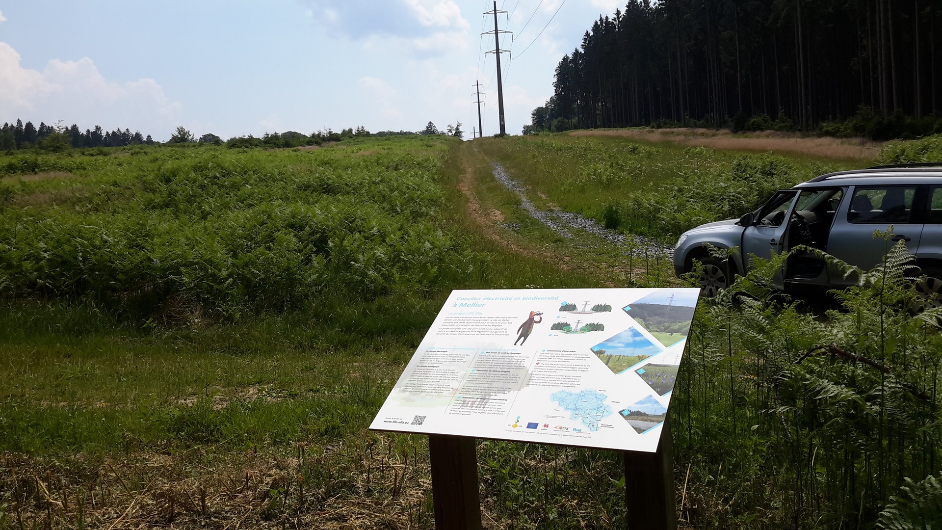 Percorso naturalistico