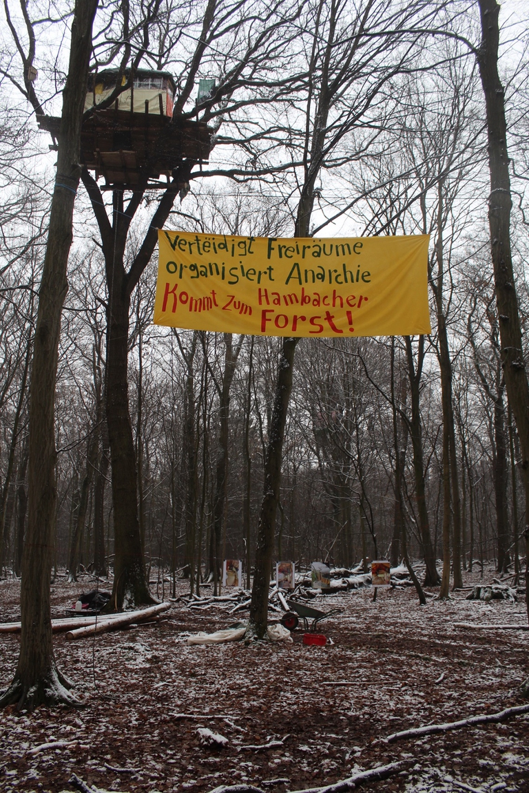 Casa sull'albero degli attivisti nella foresta di Hambach