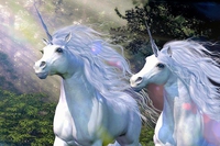 Le startup che valgono più di 1 miliardo. La cavalcata delle unicorn company