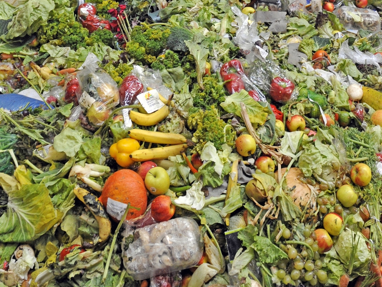 foodwaste-blog